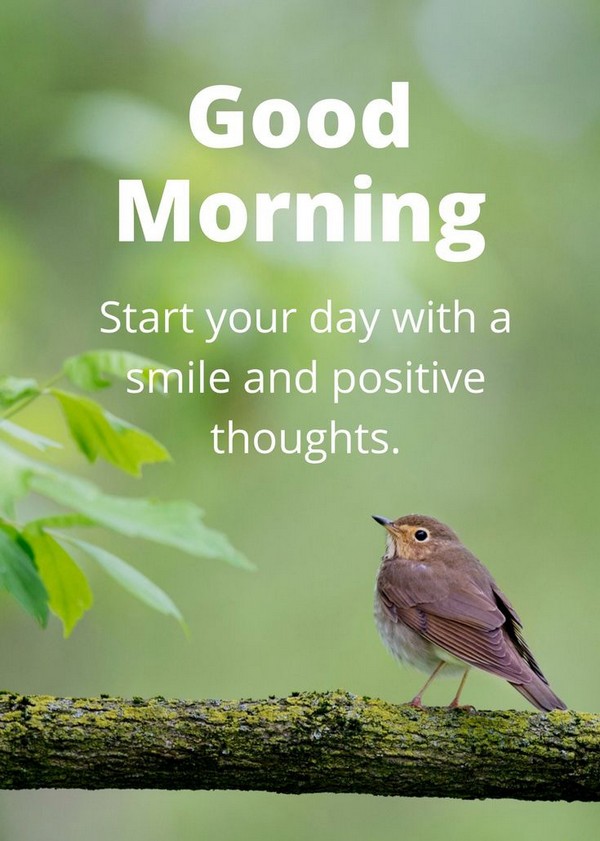 What is a unique positive morning quote?