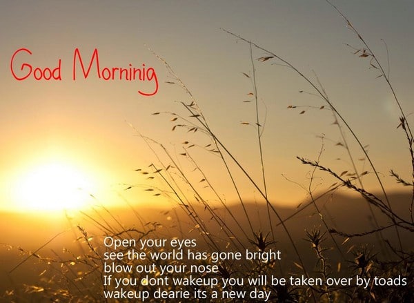 150 Unique Good Morning Quotes and Wishes - My Happy Birthday Wishes