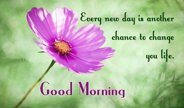 150 Unique Good Morning Quotes and Wishes - Good Morning Quotes