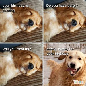Happy Birthday Memes to Share on Instagram (With Pictures)
