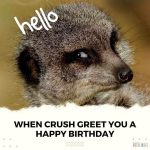 30 Funny Happy Birthday Meme for Her (with Images)